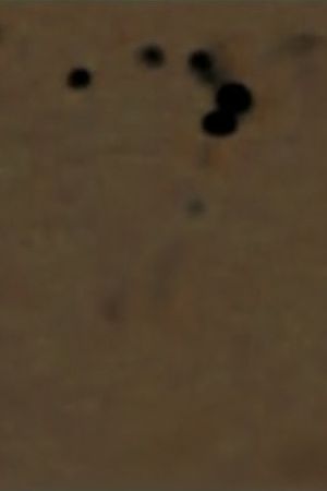 Confusion's poster