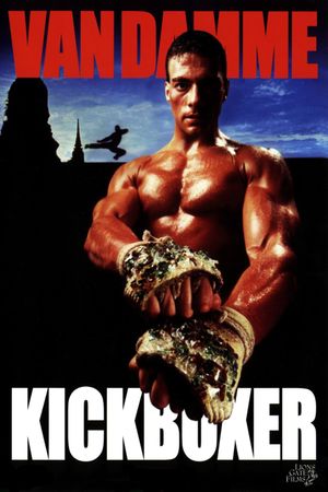 Kickboxer's poster