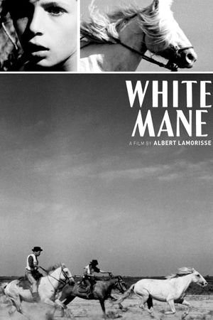 White Mane's poster