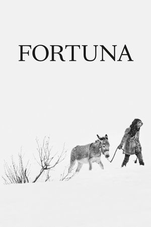 Fortuna's poster