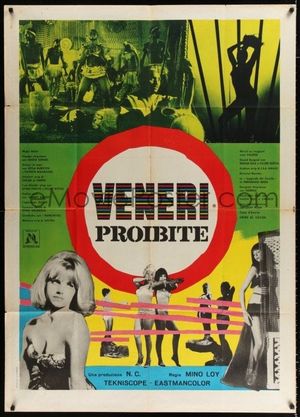 Forbidden Beauties's poster