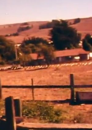 Christo Running Fence Reels: Don’t Squeeze The Fence's poster