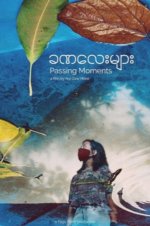 Passing Moments's poster