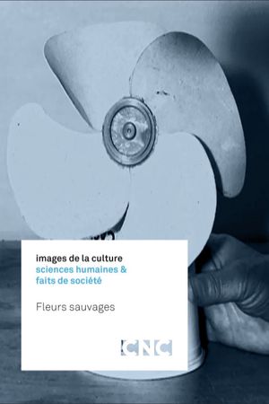 Fleurs sauvages's poster