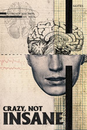 Crazy, Not Insane's poster image