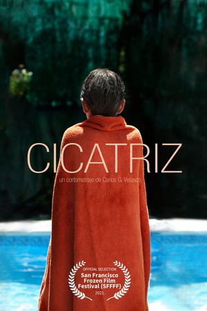 Scar's poster