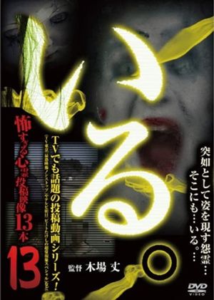 「Iru.」~ Kowasugiru Tōkō Eizō 13-hon ~ Vol.13's poster
