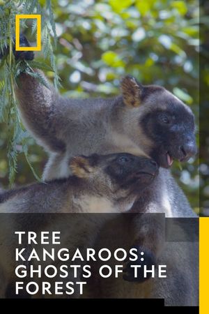 Tree Kangaroos: Ghosts of the Forest's poster