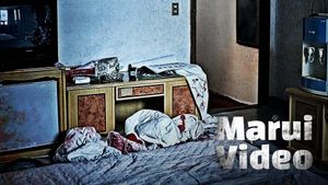 Marui Video's poster