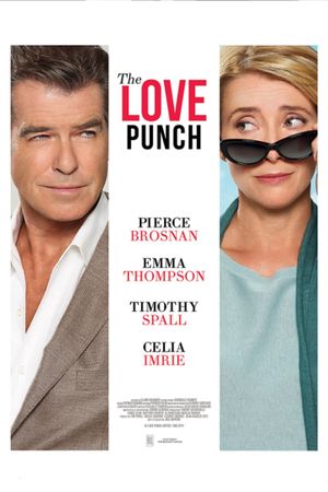 The Love Punch's poster