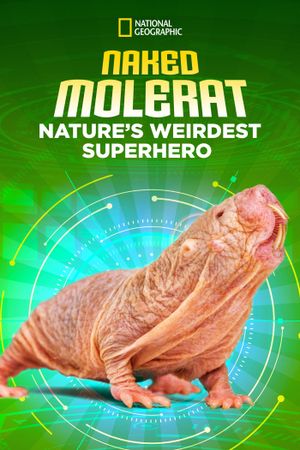 Naked Molerat: Nature’s Weirdest Superhero's poster