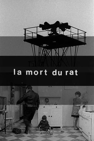 Death of the Rat's poster