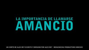 La importancia de llamarse Amancio's poster