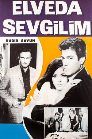 Good Bye, My Lover's poster