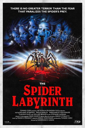 The Spider Labyrinth's poster image