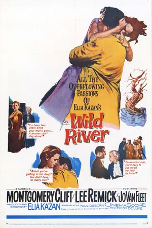 Wild River's poster