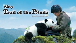 Trail of the Panda's poster