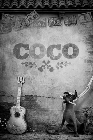 Coco's poster