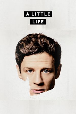 A Little Life's poster