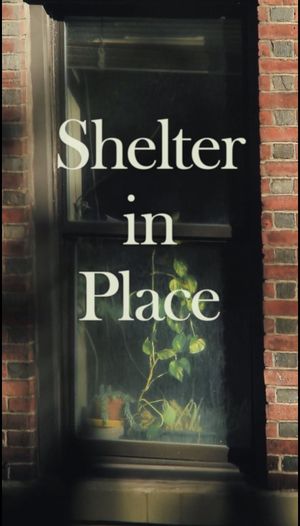 Shelter in Place's poster