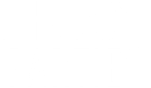 Shadow Parties's poster