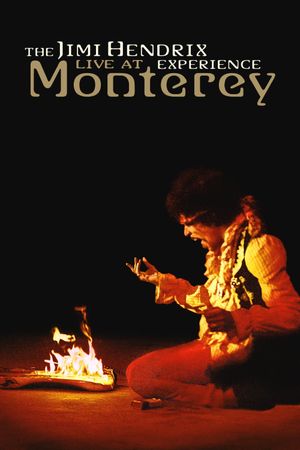 The Jimi Hendrix Experience: Live at Monterey's poster