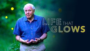 Attenborough's Life That Glows's poster