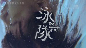 The Summer of 12's poster