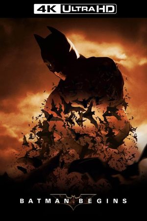 Batman Begins's poster