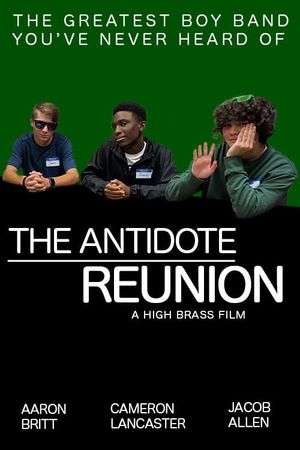 The Antidote Reunion's poster