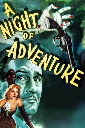 A Night of Adventure's poster