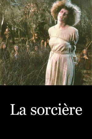 The Sorceress's poster
