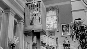 Lady in a Cage's poster
