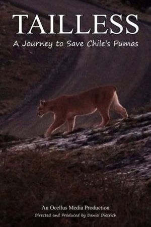 Tailless's poster