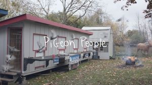 Pigeon People's poster