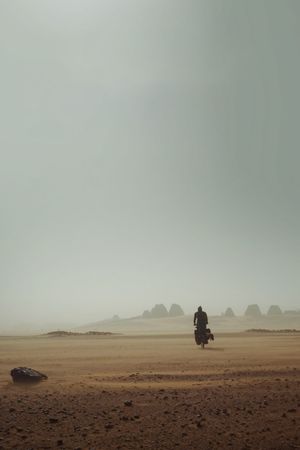 Anderswo. Allein in Afrika's poster