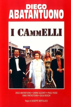 I cammelli's poster