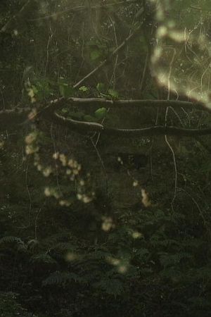 The Subterraneans's poster