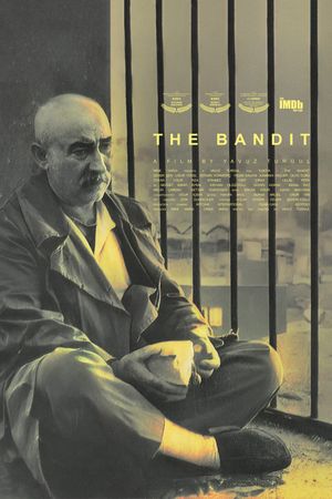 The Bandit's poster