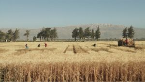 Wild Relatives's poster