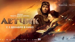 The Pilot: A Battle for Survival's poster