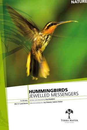 Hummingbirds: Jewelled Messengers's poster