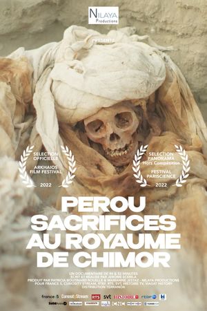 Peru - Sacrifices in the Kingdom of Chimor's poster