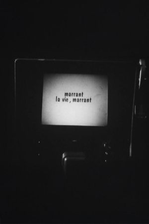 Marrant la vie, Marrant !'s poster