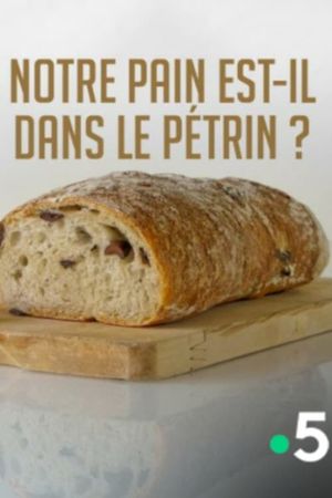 Notre pain est-il dans le pétrin ?'s poster