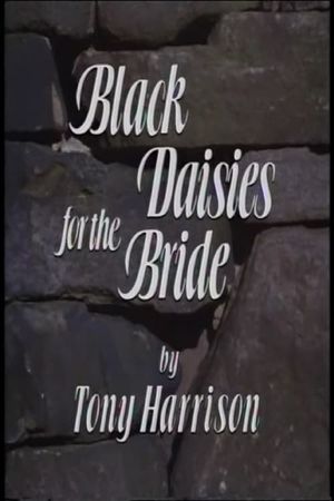 Black Daisies For The Bride's poster