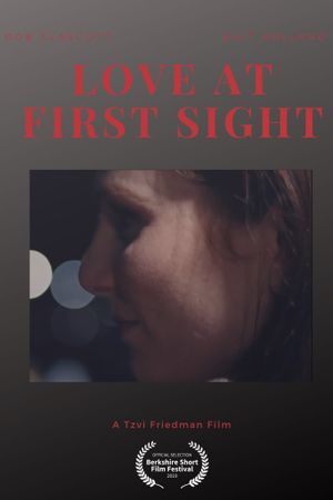 Love at First Sight's poster