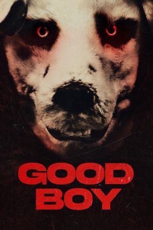 Good Boy's poster