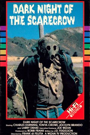 Dark Night of the Scarecrow's poster