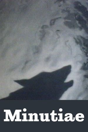 Minutiae's poster